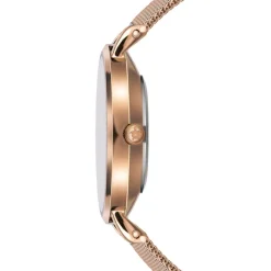 Amelia Parker Montres|Montre Femme en Acier Petite rose doré